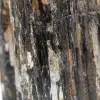 Schwarzer Turmalinstein - 5