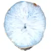 dekorativer blauer Achat - 0