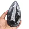 Natürliche fossile orthoceras - 0