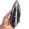 Polierte natürliche orthoceras - 0