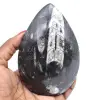 Versteinerte orthoceras - 0