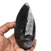 Natürliches orthoceras-fossil - 0