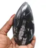 Poliertes orthoceras-fossil - 0