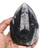 Versteinerte orthoceras - 0