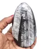 Polierte orthoceras aus marokko - 0