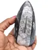 Natürliche fossile orthoceras - 0