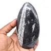 Fossil von orthoceras aus marokko - 0