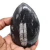 Natürliche orthoceras - 0