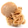 Wüstenrose - 0