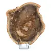 Natürliches versteinertes Holz - 0