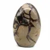 Freiform septarien - 1