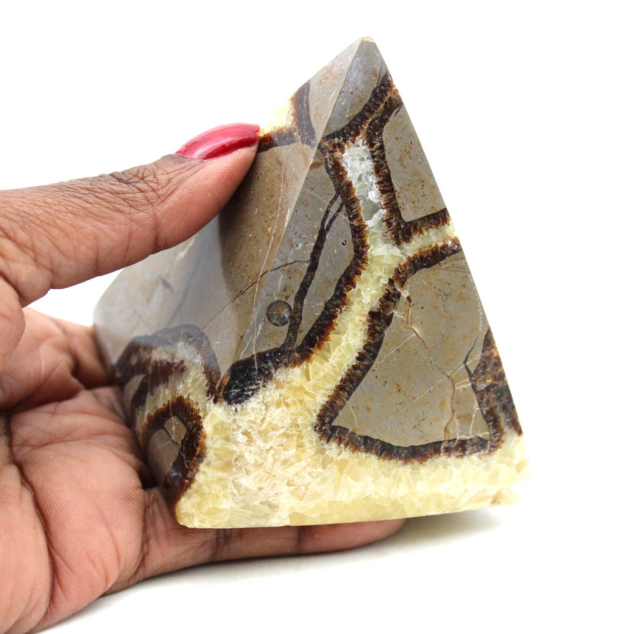 Pyramide in septarien