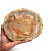 Poliertes kieselholz aus madagaskar - 0