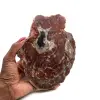 Natürliches poliertes versteinertes holz - 0