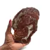 Scheibe aus verkieseltem holz aus madagaskar - 0
