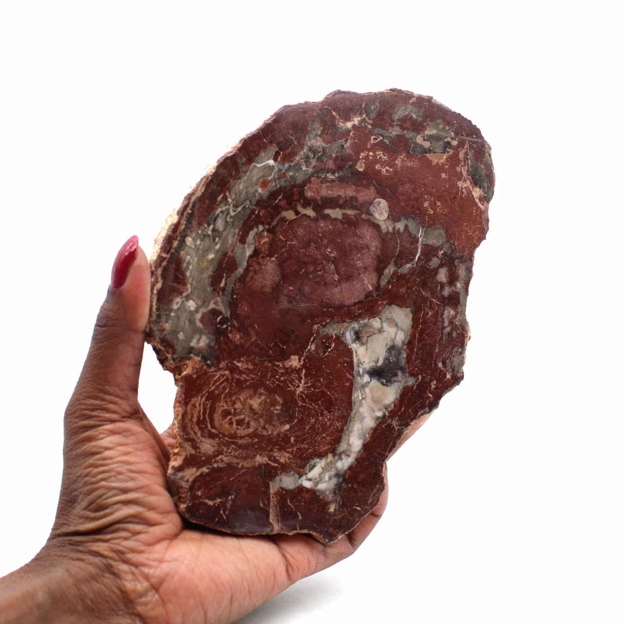 Scheibe aus verkieseltem holz aus madagaskar