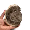 Poliertes kieselholz aus madagaskar - 0
