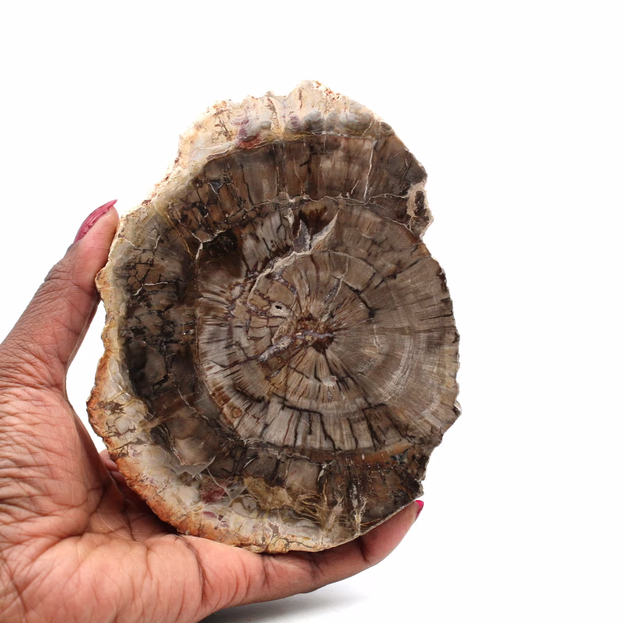 Poliertes kieselholz aus madagaskar