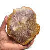 Poliertes versteinertes holz aus madagaskar - 0