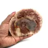 Natürlich poliertes versteinertes holz - 0
