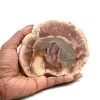 Scheibe aus verkieseltem holz aus madagaskar - 0