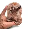 Scheibe aus natürlichem versteinertem holz - 0