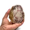 Natürliches verkieseltes holz - 0