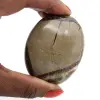 Kiesel von septaria - 1