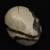 Kiesel von septaria - 0