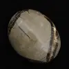 Kiesel von septaria - 2