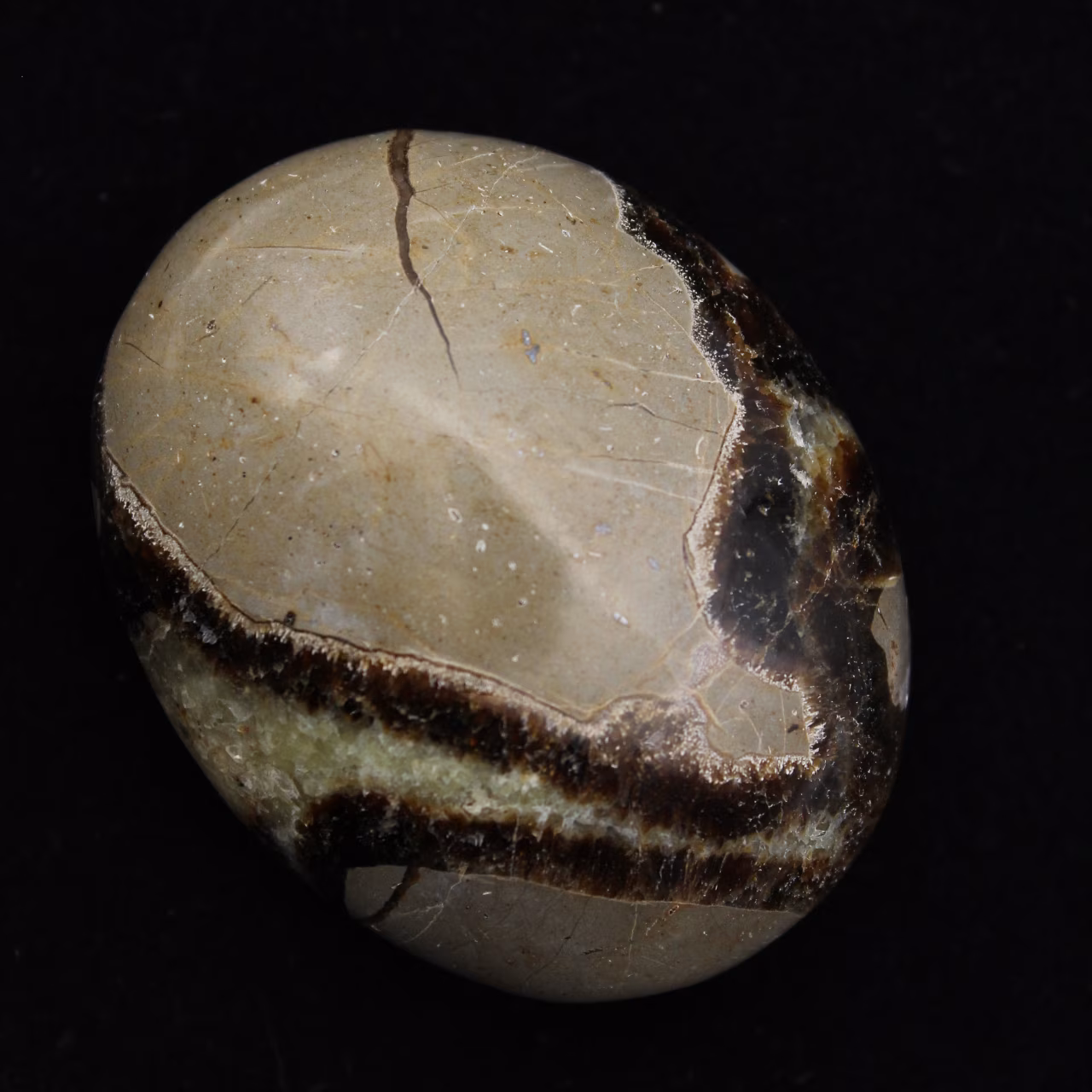 Kiesel von septaria