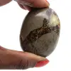 Kiesel von septaria - 1