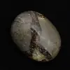 Kiesel von septaria - 2