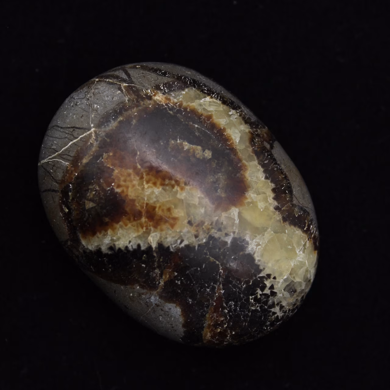 Kiesel von septaria