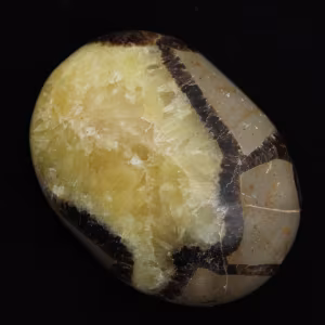 Kiesel von septaria