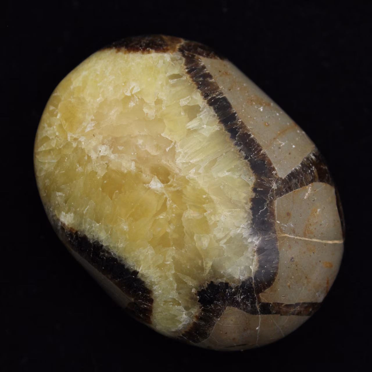 Kiesel von septaria