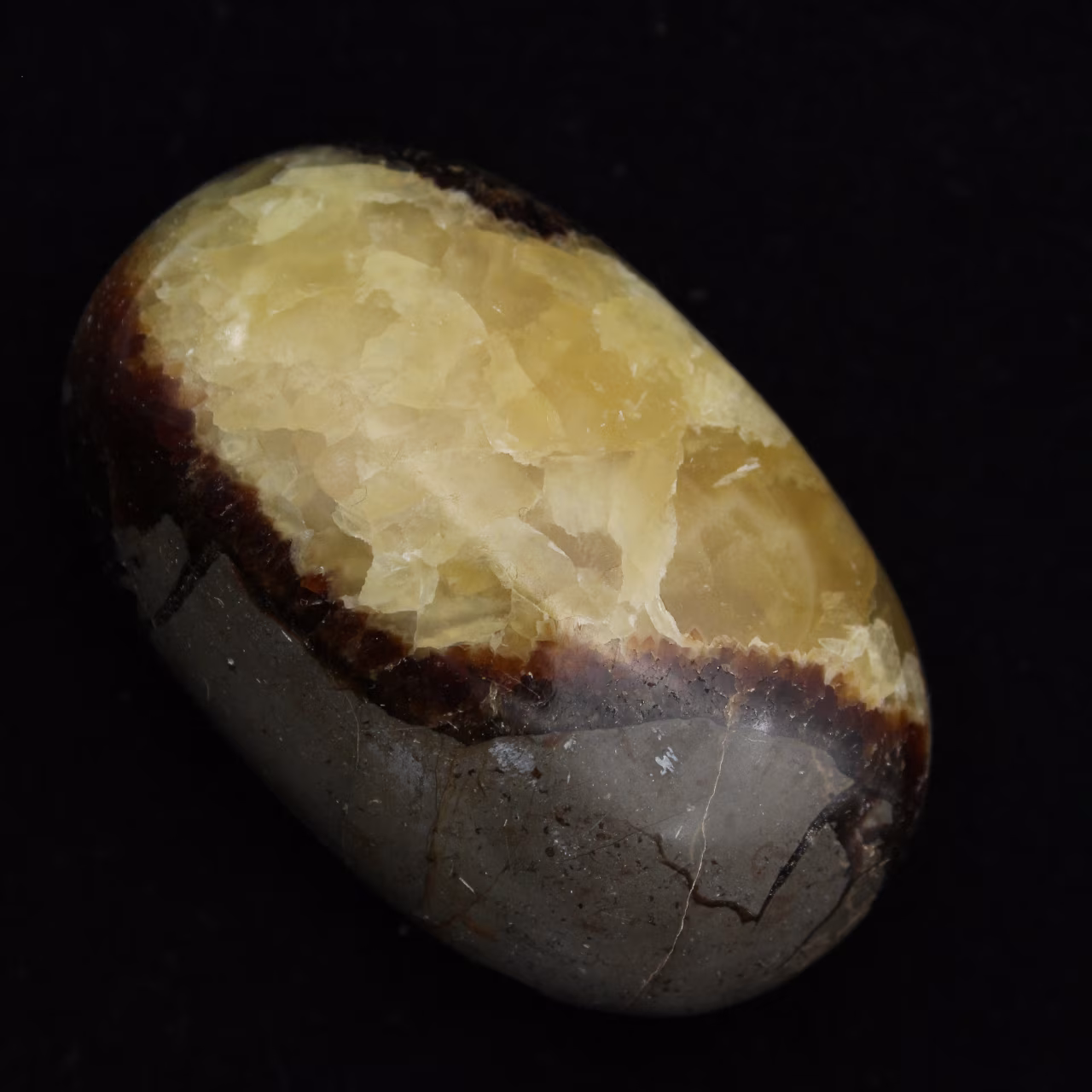 Kiesel von septaria