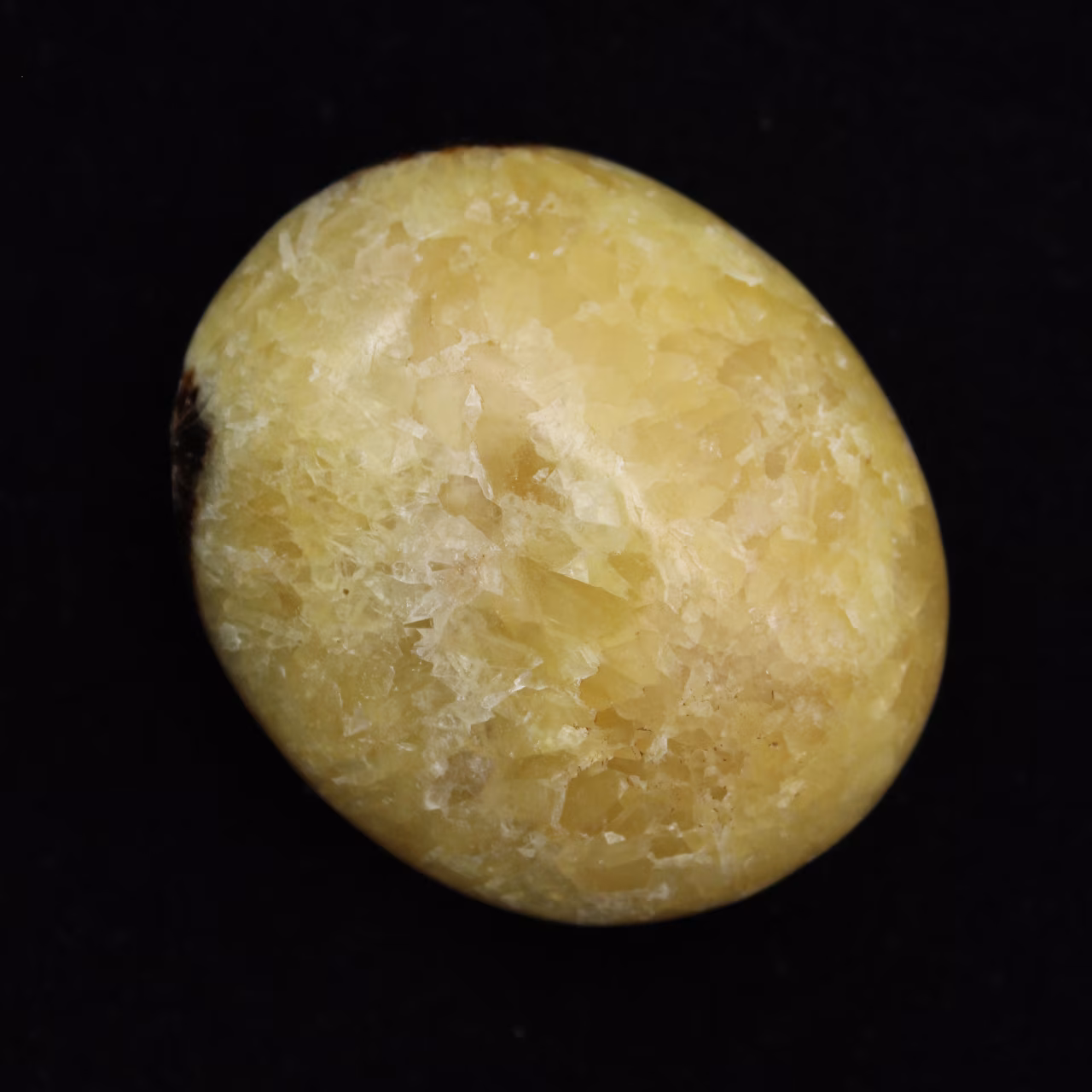 Kiesel von septaria