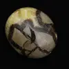 Kiesel von septaria - 0