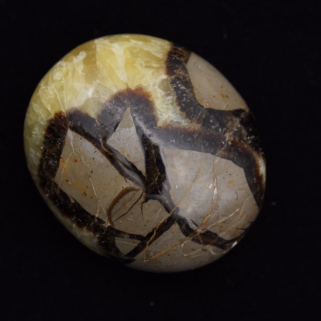 Kiesel von septaria