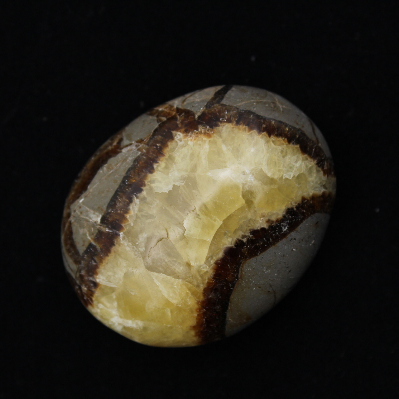 Kiesel von septaria
