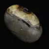 Kiesel von septaria - 2