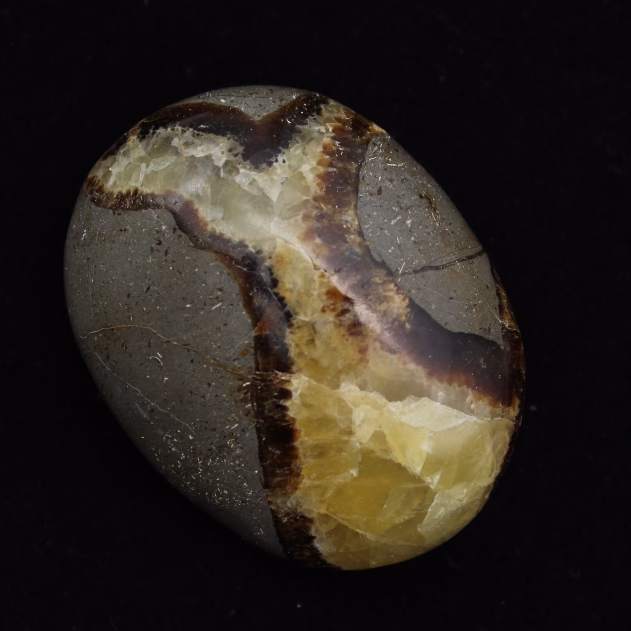 Kiesel von septaria