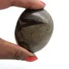 Kiesel von septaria - 1