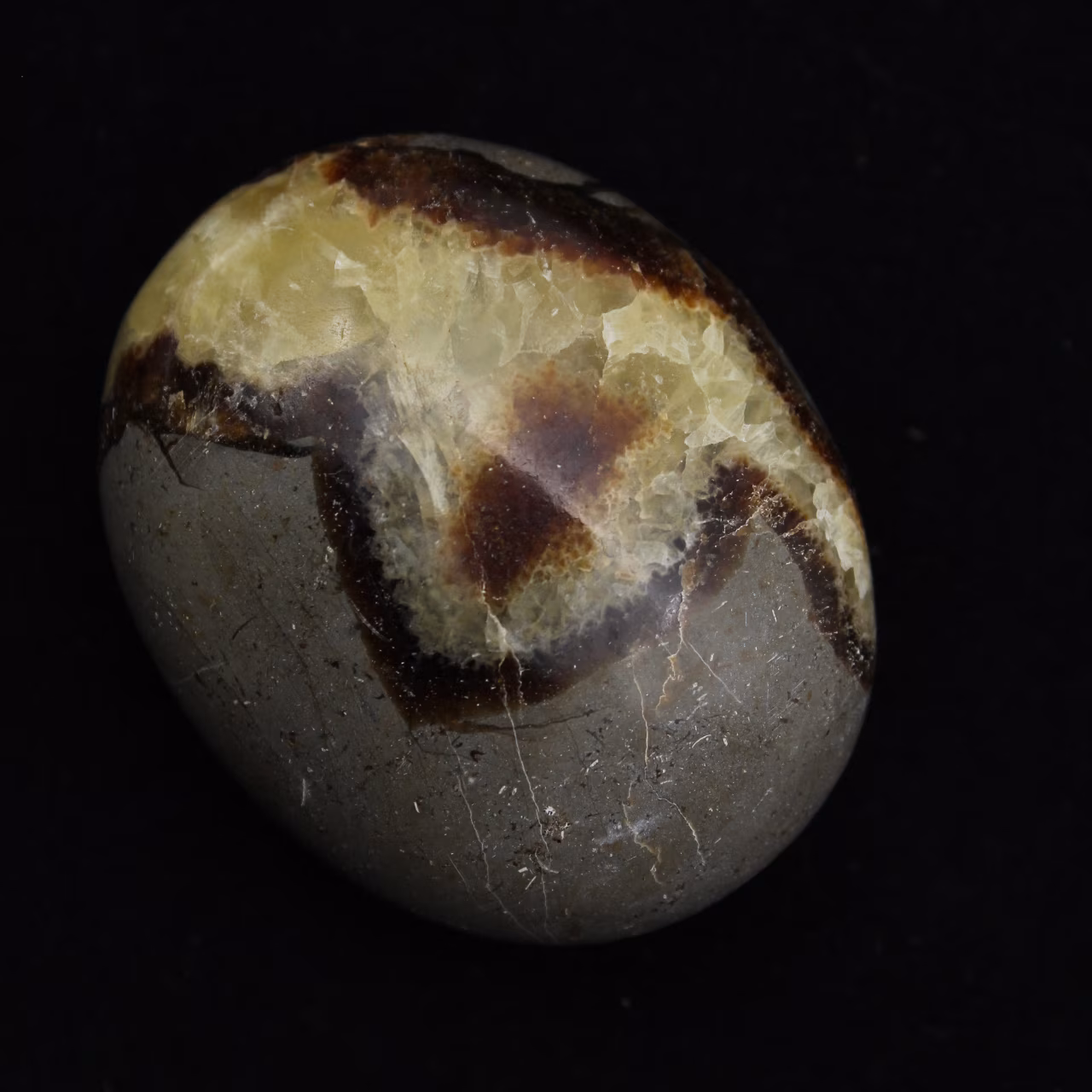 Kiesel von septaria