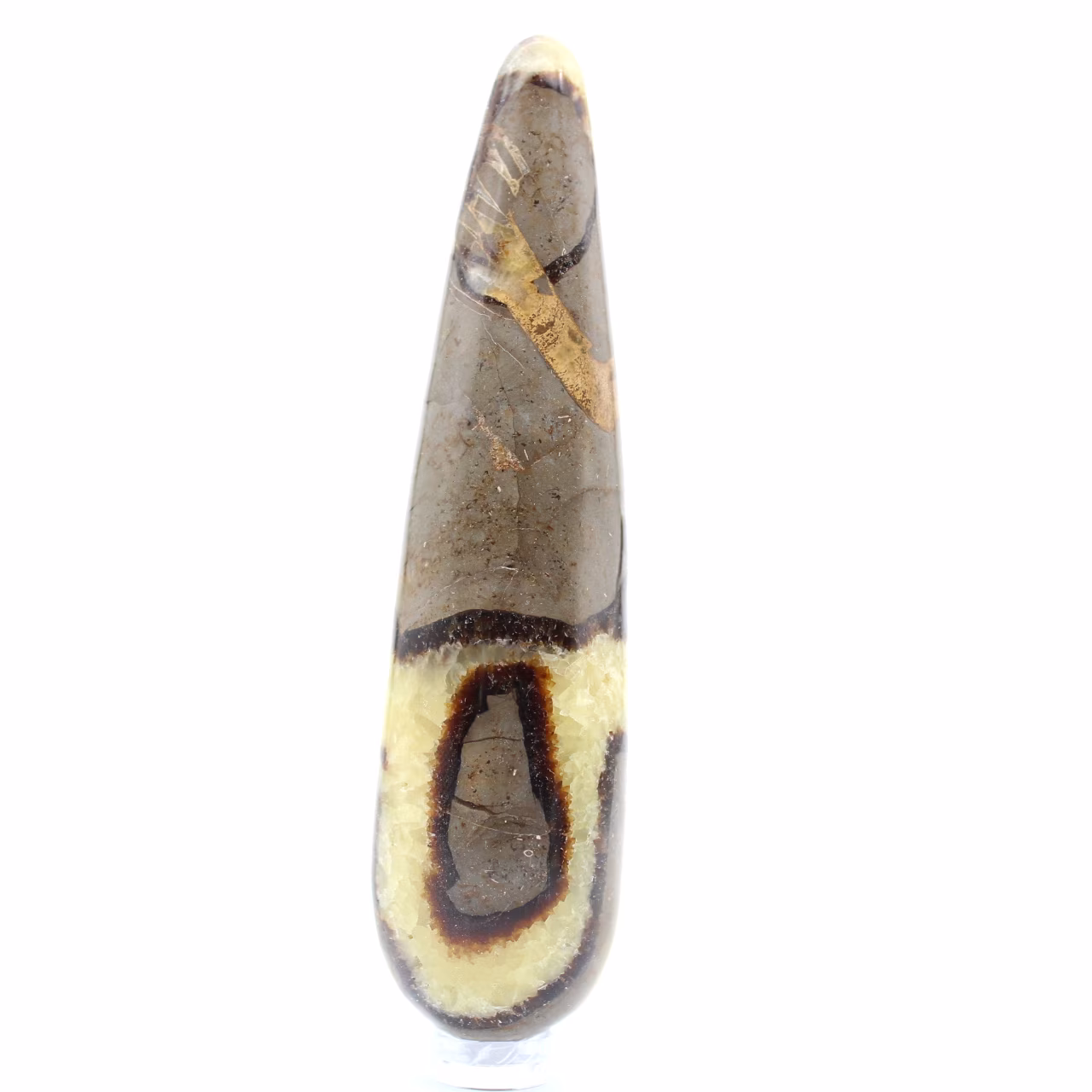 Septarischer Steinstab