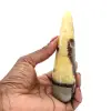 Stab der polierten Septarien - 1