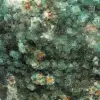 Kubisch kristallisierter fluorit - 6