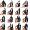 Poliertes orthocera-fossil - 0