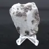 Halbpolierte Larimar-Plakette - 2